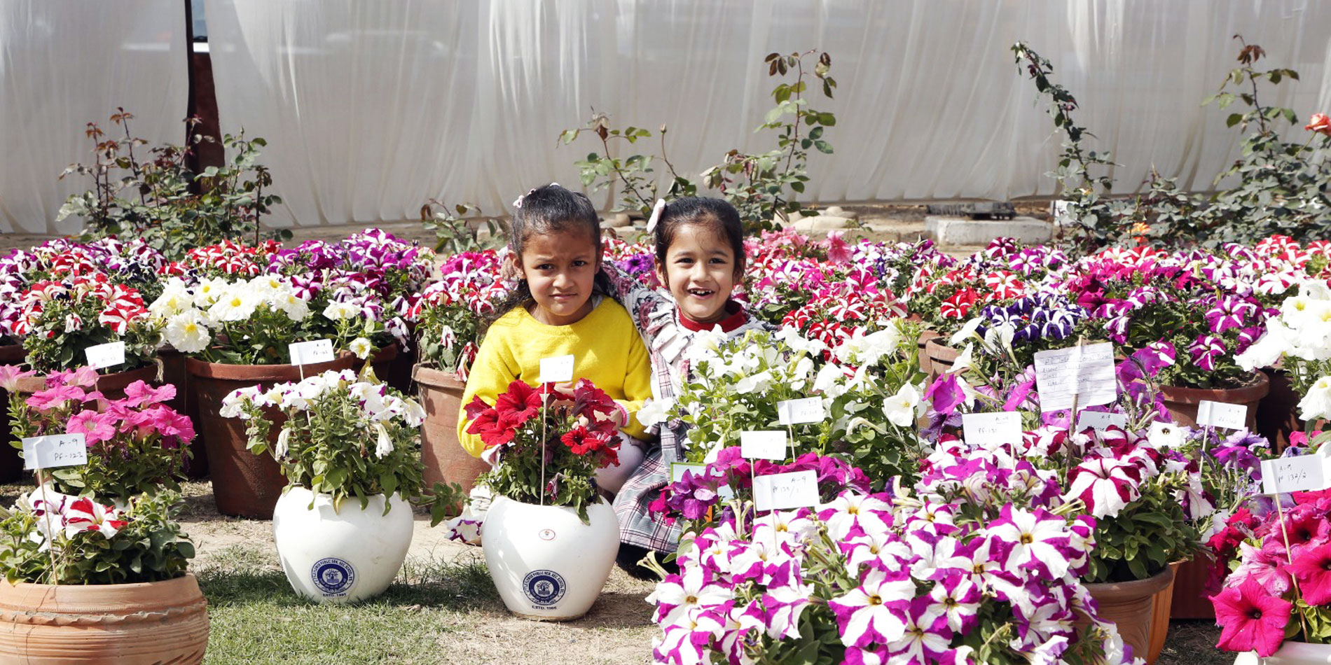 Bathinda Flower Festival